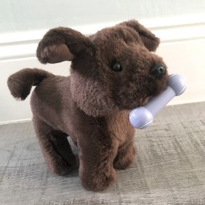 American Girl chocolate Lab puppy